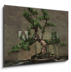 Sklenn obraz 1D - 100 x 70 cm F_E104394182 - Decorative Bonsai Tree