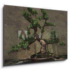 Obraz 1D - 100 x 70 cm F_E104394182 - Decorative Bonsai Tree - Dekorativn strom bonsai