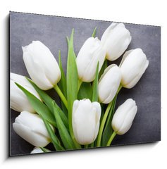 Obraz 1D - 100 x 70 cm F_E105673696 - More white tulip on the grey background.