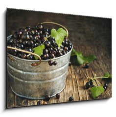 Obraz 1D - 100 x 70 cm F_E106540835 - Blackcurrant - ern rybz