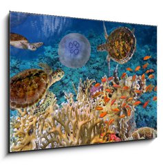 Obraz 1D - 100 x 70 cm F_E107412265 - Colorful coral reef with many fishes and sea turtle