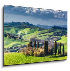 Obraz 1D - 100 x 70 cm F_E108374641 - Houses with cypress trees in a green spring day.