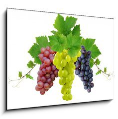 Sklenn obraz 1D - 100 x 70 cm F_E10964464 - Three fresh grapes