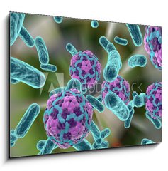 Obraz 1D - 100 x 70 cm F_E110321094 - Bacteria and hepatitis A virus
