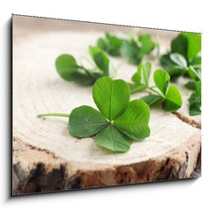 Sklenn obraz 1D - 100 x 70 cm F_E110661857 - Green clover leaves on a piece of wood, closeup
