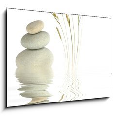 Obraz 1D - 100 x 70 cm F_E11241358 - Zen Beauty