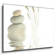 Sklenn obraz 1D - 100 x 70 cm F_E11241358 - Zen Beauty