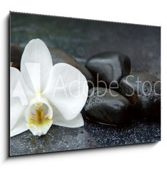 Obraz 1D - 100 x 70 cm F_E113515481 - White orchid and black stones close up. - Bl orchidej a ern kameny zblzka.