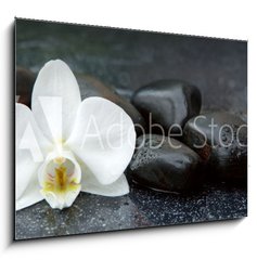 Obraz 1D - 100 x 70 cm F_E113515481 - White orchid and black stones close up.