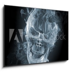 Sklenn obraz 1D - 100 x 70 cm F_E11412559 - Skull - smoke
