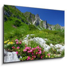 Sklenn obraz 1D - 100 x 70 cm F_E11754961 - spring in the alps