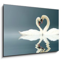 Obraz 1D - 100 x 70 cm F_E12112158 - Love Swans