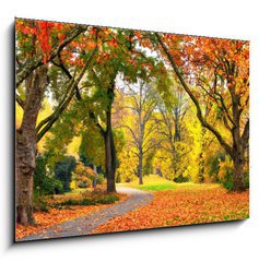 Obraz   Park im Herbst in freundlich warmen Farben, 100 x 70 cm