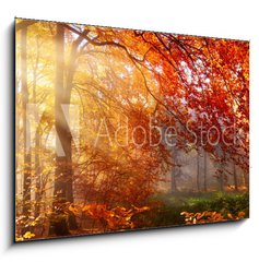 Obraz 1D - 100 x 70 cm F_E122248477 - Herbst im Wald, mit Lichtstrahlen im Nebel und rotem Laub