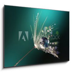 Obraz 1D - 100 x 70 cm F_E123550067 - Beautiful dew drops on a dandelion seed macro.  Beautiful blue background. Large golden dew drops on a parachute dandelion. Soft dreamy tender artistic image form.