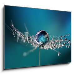 Obraz 1D - 100 x 70 cm F_E124005669 - Beautiful dew drops on a dandelion seed macro. Beautiful soft light blue and violet background. Water drops on a parachutes dandelion on a beautiful blue. Soft dreamy tender artistic image form.