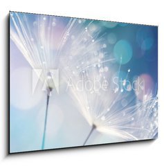 Obraz 1D - 100 x 70 cm F_E127062041 - Dandelion Seeds in the drops of dew on a beautiful blurred background. Dandelions on a beautiful blue background. Drops of dew sparkle on the dandelion.