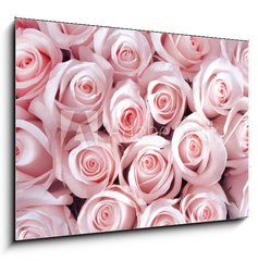 Obraz   Pink roses as a background, 100 x 70 cm