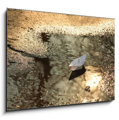 Obraz   paper ship floats in a spring pool, 100 x 70 cm