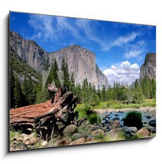 Sklenn obraz 1D - 100 x 70 cm F_E13181871 - El Capitan View in Yosemite Nation Park