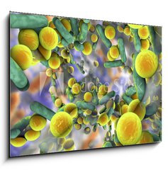 Sklenn obraz 1D - 100 x 70 cm F_E132239851 - Biofilm of antibiotic resistant bacteria. Rod
