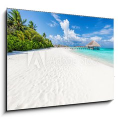 Obraz 1D - 100 x 70 cm F_E132600844 - Wide sandy beach on a tropical island in Maldives. Palms and wat