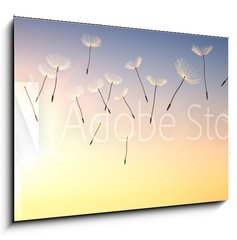 Obraz 1D - 100 x 70 cm F_E137387337 - Pusteblume im Sonnenuntergang 1