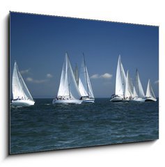 Obraz   start of a sailing regatta, 100 x 70 cm