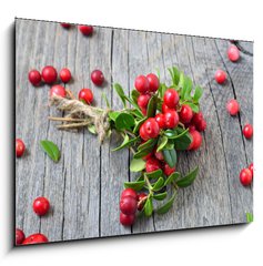 Obraz 1D - 100 x 70 cm F_E141541258 - Bunch of red cowberry - Banda erven brusinky