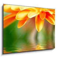 Obraz 1D - 100 x 70 cm F_E14392281 - Closeup photo of yellow daisy