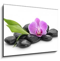 Obraz 1D - 100 x 70 cm F_E144086994 - zen basalt stones ,orchid and bamboo