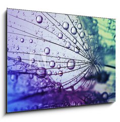 Obraz 1D - 100 x 70 cm F_E146436696 -  dandelion flower background