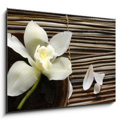 Obraz   bowl of orchid, petal on bamboo mat, 100 x 70 cm