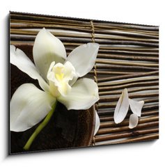 Obraz 1D - 100 x 70 cm F_E14760003 - bowl of orchid, petal on bamboo mat