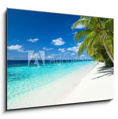 Obraz 1D - 100 x 70 cm F_E151010448 - coco palms on tropical paradise beach with turquoise blue water and blue sky