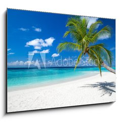 Obraz 1D - 100 x 70 cm F_E151310725 - coco palm on tropical paradise island dream beach