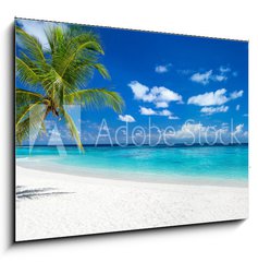 Obraz 1D - 100 x 70 cm F_E151547263 - coco palm panorama wide format on tropical paradise dream beach
