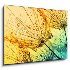 Obraz 1D - 100 x 70 cm F_E153111950 -  dandelion flower background