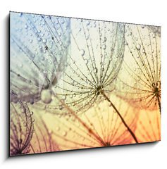 Obraz 1D - 100 x 70 cm F_E155375500 -  dandelion flower background