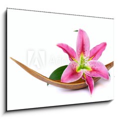 Sklenn obraz 1D - 100 x 70 cm F_E15641215 - Beautiful lily flower - Krsn lilie kvtina