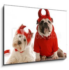 Obraz   two devils  bulldog and west highland white terrier, 100 x 70 cm