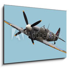 Obraz 1D - 100 x 70 cm F_E15824540 - Isolated Spitfire - Izolovan Spitfire