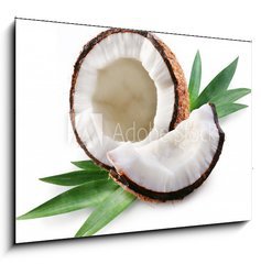 Obraz 1D - 100 x 70 cm F_E15844429 - coconut on a white background