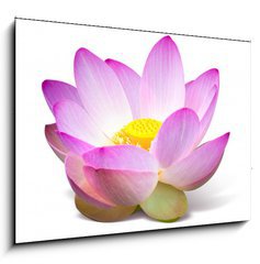 Sklenn obraz 1D - 100 x 70 cm F_E15918098 - Lotus