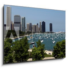 Obraz 1D - 100 x 70 cm F_E15938614 - Chicago Summer Panorama