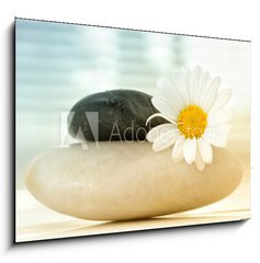Obraz 1D - 100 x 70 cm F_E16097577 - Spa