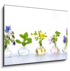 Sklenn obraz 1D - 100 x 70 cm F_E166862791 - Herbs for alternative medicine, natural cosmetics and kitchen