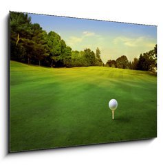 Sklenn obraz 1D - 100 x 70 cm F_E16695103 - golf