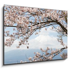 Obraz 1D - 100 x 70 cm F_E167625752 - Fuji mountain  in japan as background with sakura blossom as foreground
