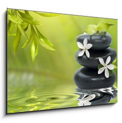 Sklenn obraz 1D - 100 x 70 cm F_E16809002 - Spa still life, with white flowers on the black stones and bambo